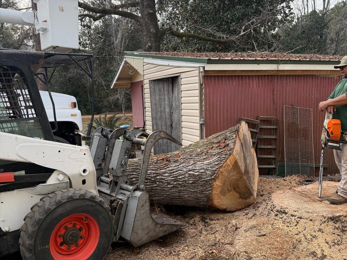 El Costeño Tree Service LLC